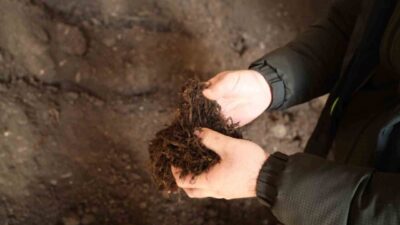 Kocaeli Büyükşehir Belediyesi, kendi fidanlığında gerçekleştirdiği torf üretimiyle hem bitkilerin