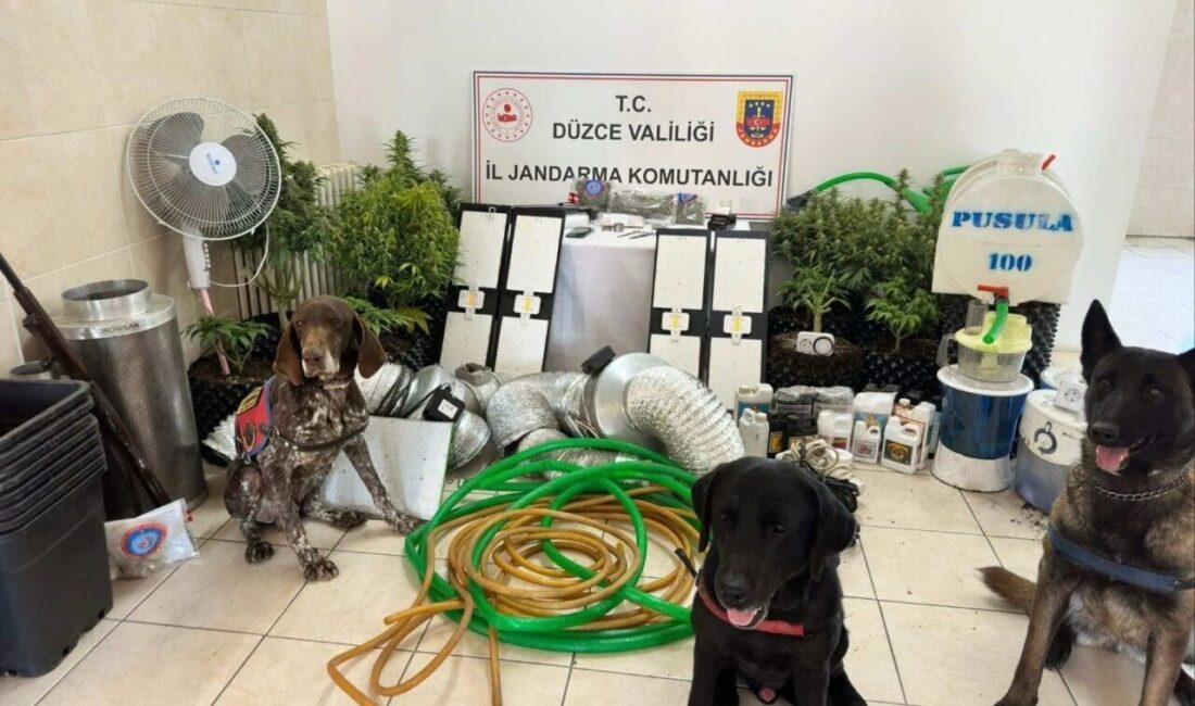 Düzce İl Jandarma Komutanlığı ekipleri tarafından uyuşturucu ticareti yaptığı tespit