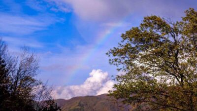 Düzce’de hafta sonu etkili olan sağanak yağışın ardından hafta başında