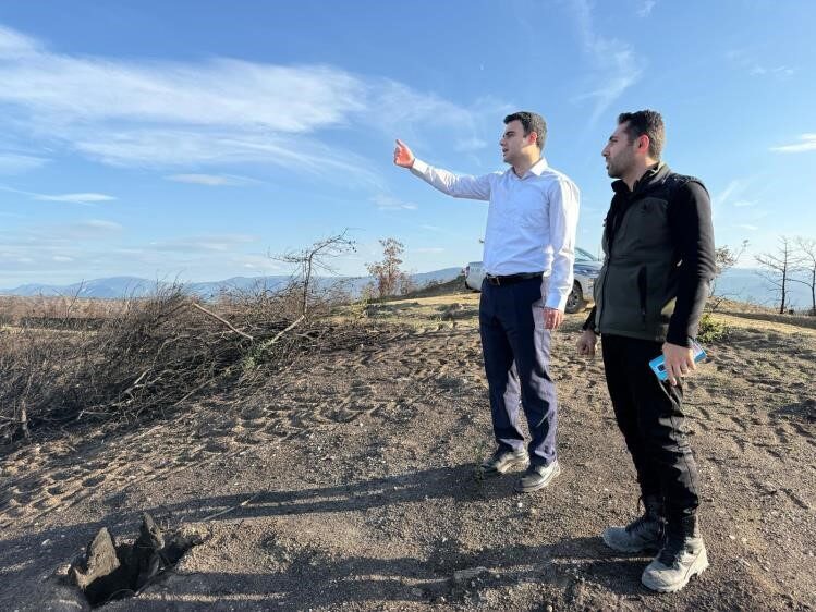 Bilecik’in Osmaneli ilçesinde, orman yangınlarından etkilenen alanlar yeşile bürünüyor. Geçtiğimiz