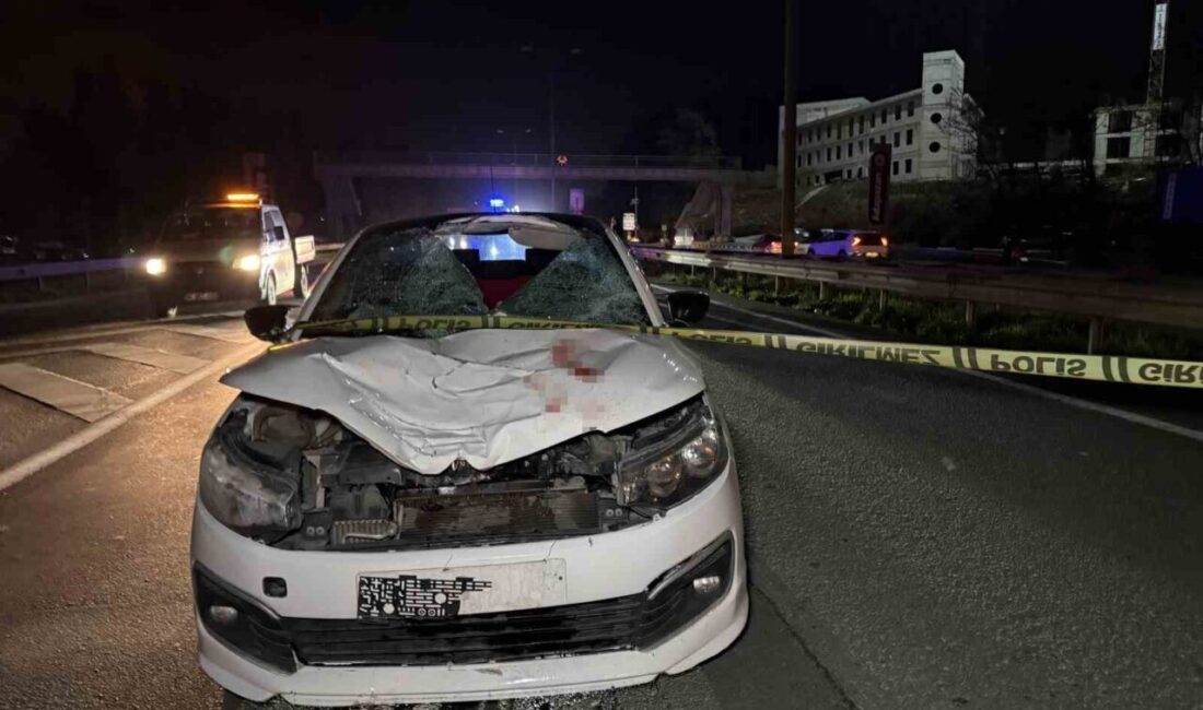 Yaya geçidine 20 metre mesafede kaza: 1 ölü Sakarya’nın Arifiye ilçesi D-100 kara yolunda üst geçide yaklaşık 20