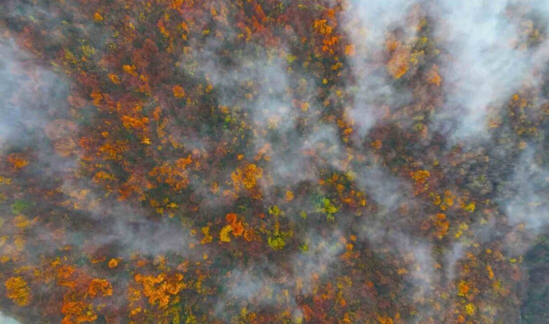 Kocaeli’nin yüksek kesimlerinde aralık ayının son günlerinde etkili olan sis