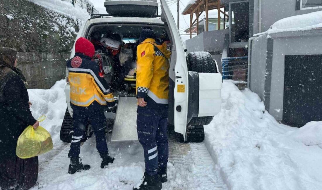 DÜZCE(İHA) – Düzce’de karın yolları kapattığı, soğuğun hayatı zorlaştırdığı anlarda