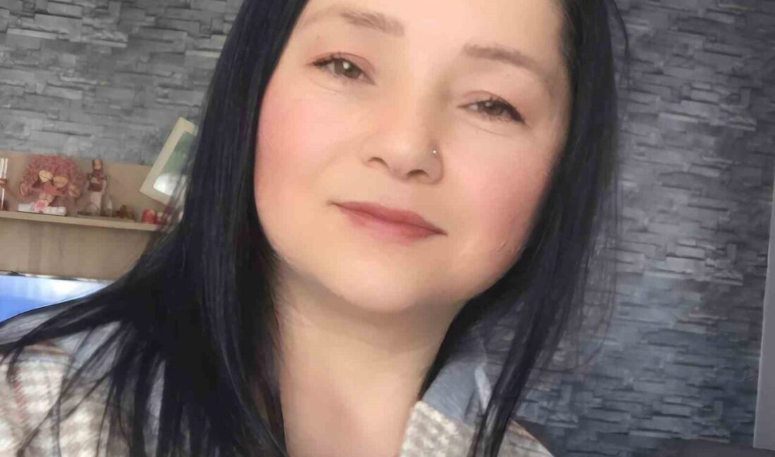 Yolun karşısına geçemeye çalışan kadın, otomobilin çarpması neticesinde hayatını kaybetti Sakarya’nın Adapazarı ilçesi D-020 kara yolunda yolun karşısına geçemeye çalışan