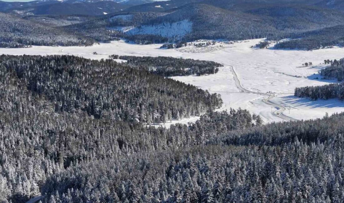 14 köyün yaylasının bir arada bulunduğu Sarıalan’da kış güzelliği Bolu’nun güneydoğusunda Kartalkaya yolu üzerinde bulunan 14 köy yaylasından oluşan