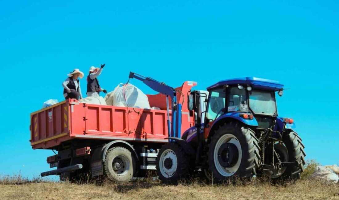 Kocaeli’de tohum ve gübreden hayvancılık ekipmanlarına, seralardan tıbbi ve aromatik