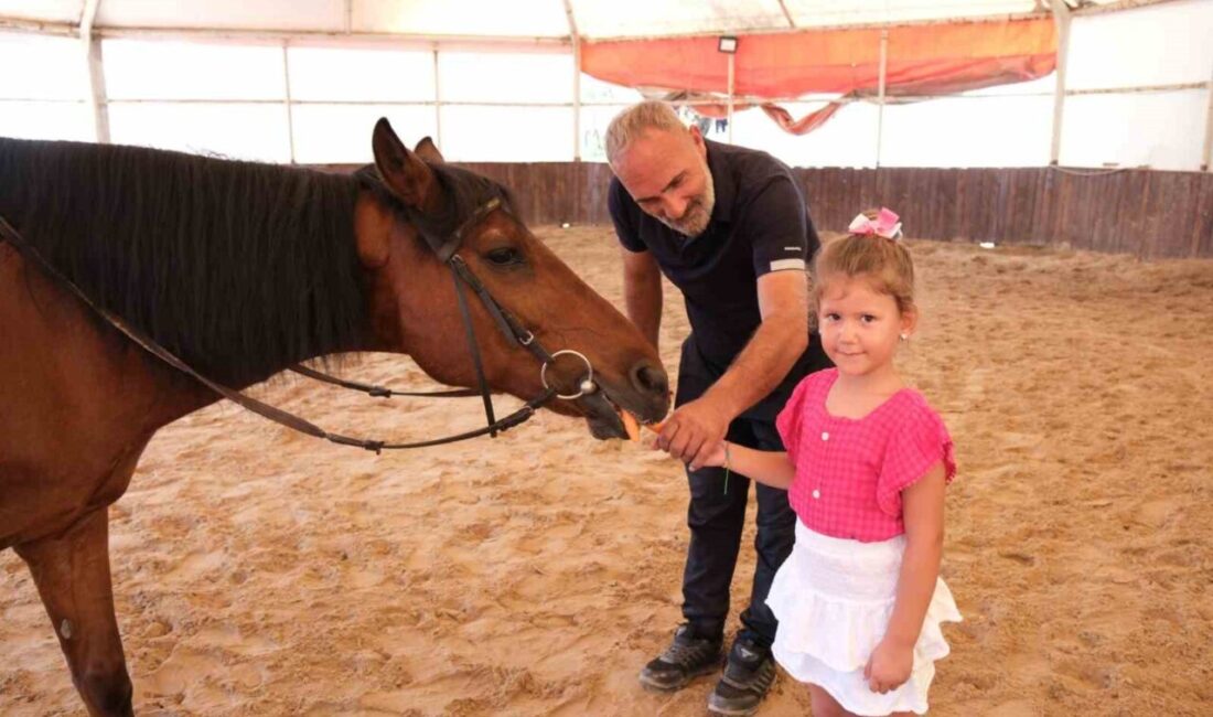 Kocaeli Büyükşehir Belediyesi, 4-6 yaş arası çocuklara yönelik ücretsiz at