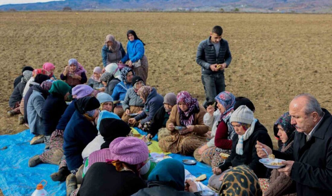 Taşköprü Belediye Başkanı Hüseyin Arslan sarımsak tarlasında günlükçülerle bir araya