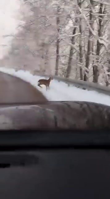 Sakarya’nın Akyazı ilçesinde kar keyfi yapmak için yüksek kesimlere çıkan