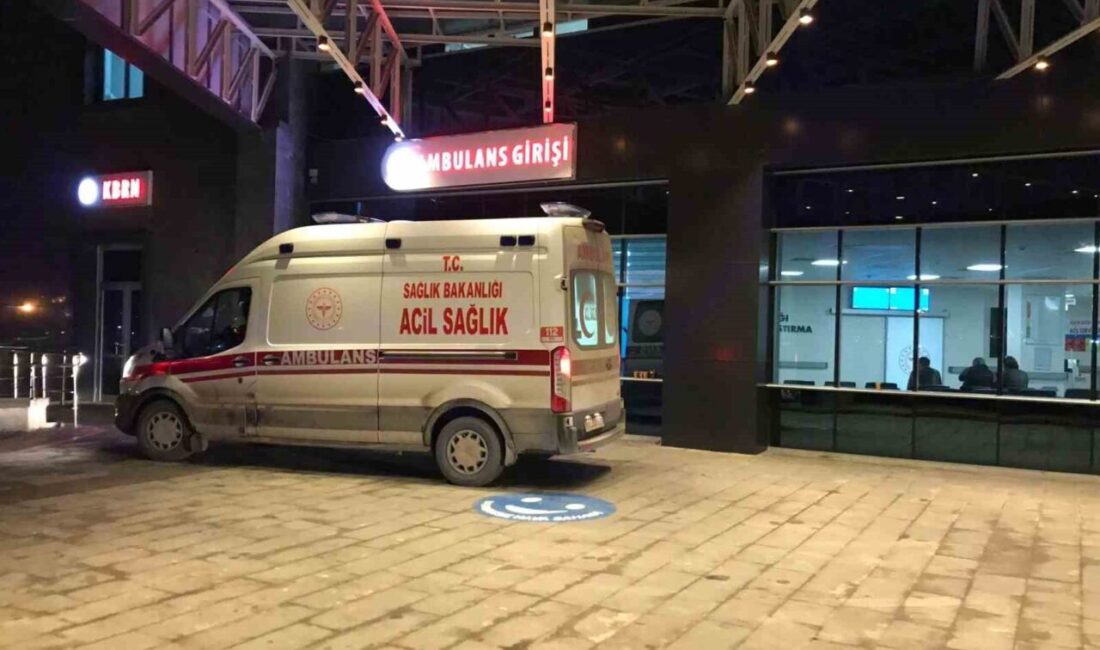 Bilecik’te 21 yaşındaki genç, babasına ait otomobilde ölü bulundu. Olay,