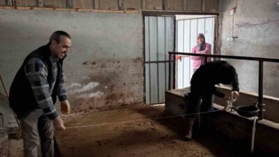 Bilecik’in Gölpazarı ilçesinde büyükbaş hayvancılık işletmelerine yönelik kapasite kontrolleri gerçekleştiriliyor.