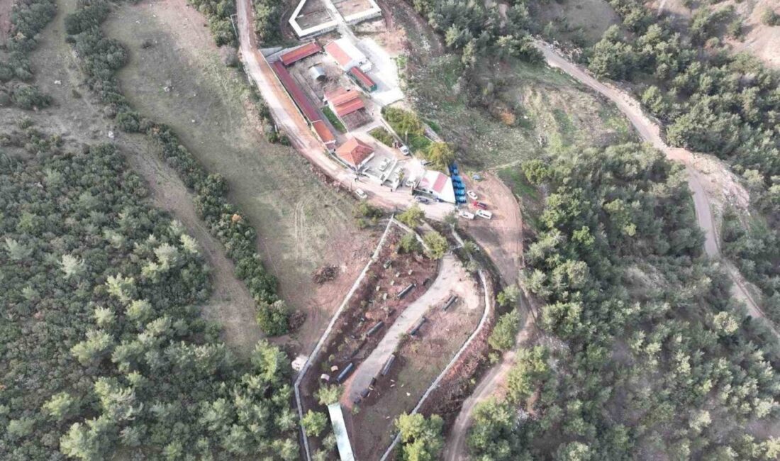 Bilecik’te can dostlar emin ellerde Bilecik Belediyesi Sokak Hayvanları Tedavi ve Rehabilitasyon Merkezi, yeni yılda