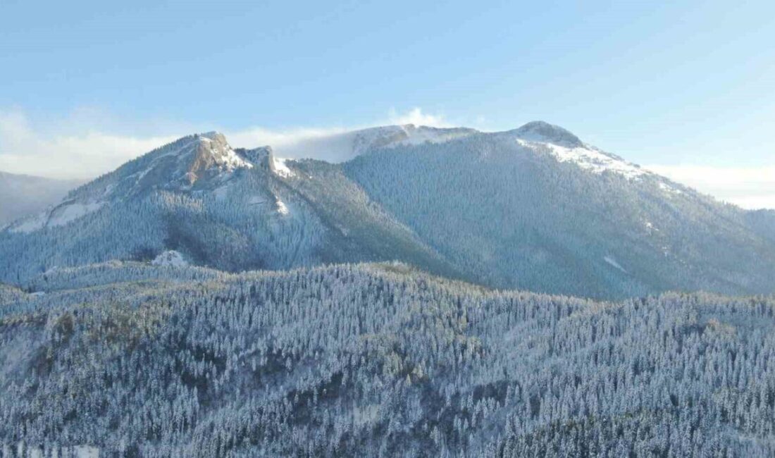 Kastamonu’da kar kalınlığının 1,5 metreyi aştığı bin 250 rakımlı Yaralıgöz