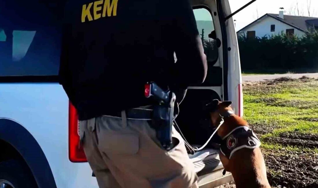 Bolu’da polis ve jandarma ekiplerince belirlenen adreslere düzenlenen operasyonlarda gözaltına