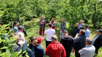 Sakarya Büyükşehir Belediyesi Tarımsal Hizmetler Dairesi Başkanlığı, 2025 yılında yürütülen