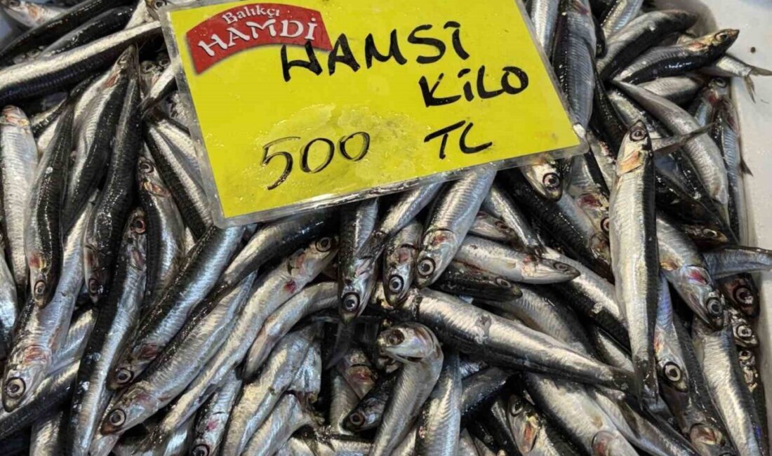 Kocaeli’deki tezgahlarda balık miktarı azaldı. Balıkçı Kemal Bineklioğlu, “Bu sene