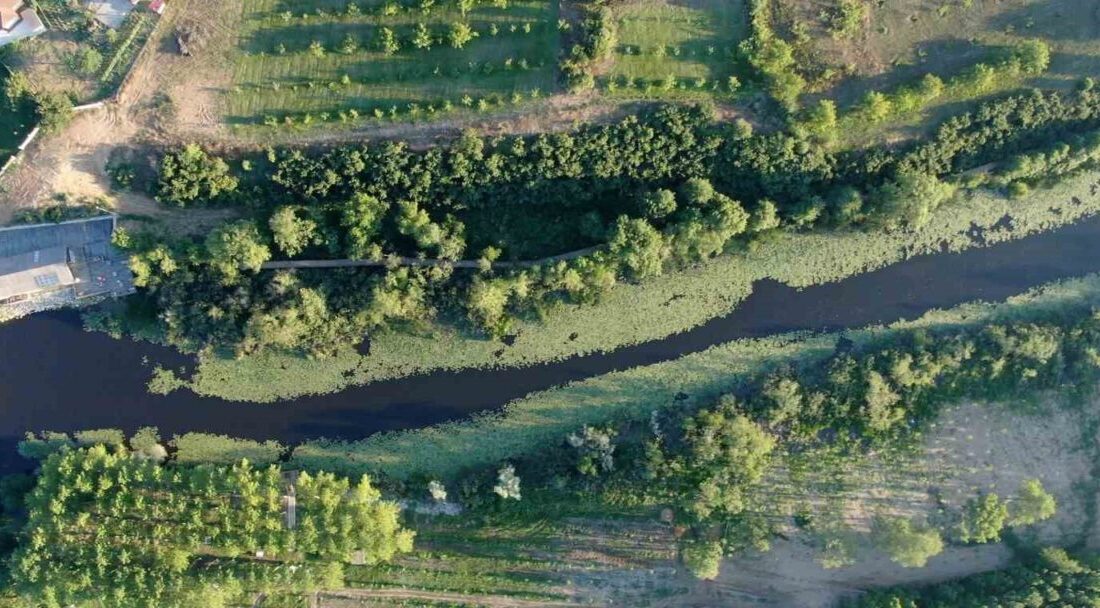 Sakarya Büyükşehir Belediyesi’nin çevre düzenlemeleriyle doğal kimliği güçlenen İl Ormanı