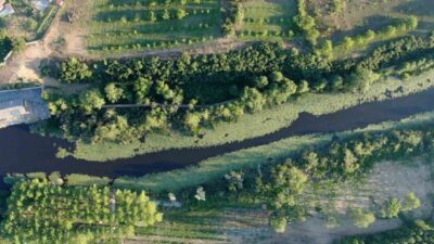 Sakarya Büyükşehir Belediyesi’nin çevre düzenlemeleriyle doğal kimliği güçlenen İl Ormanı