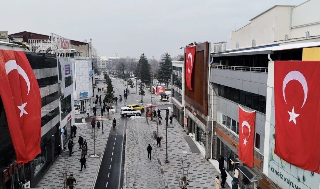 Kamışlı’da Türk Bayrağı’na yapılanların ardından Düzce’de esnaf ve belediye, şehri