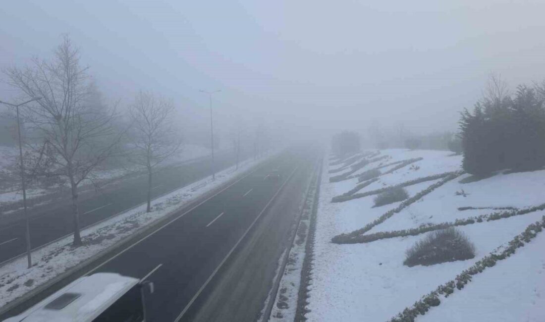 DÜZCE(İHA) – Düzce’de kar yağışının ardından sis ve soğuk hava