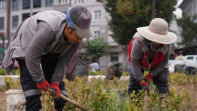 Düzce Belediyesi 2025 yılının genelinde park ve yeşil alanlarda yaptığı