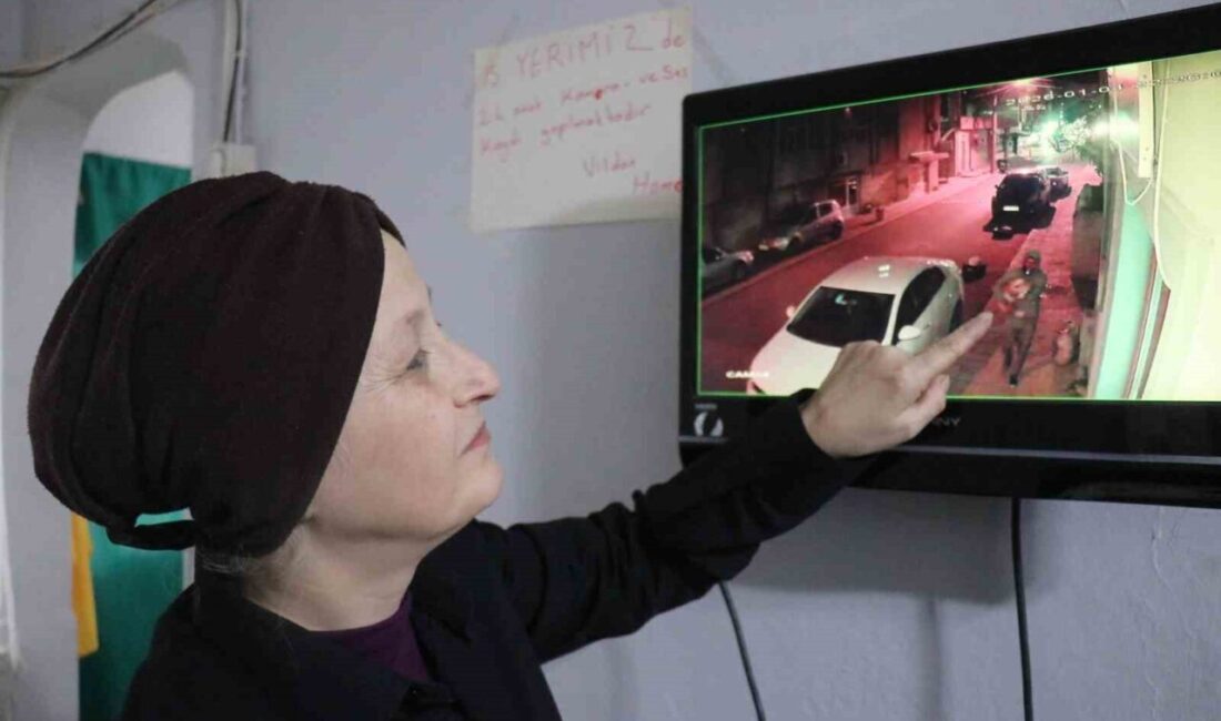 Sakarya’nın Adapazarı ilçesinde evinin bahçesinden çalınan 56 yaşındaki kadının evladı