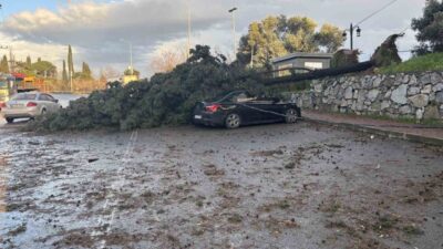 Kocaeli’nin Gebze ilçesinde fırtına sebebiyle cadde üzerindeki bir ağaç park