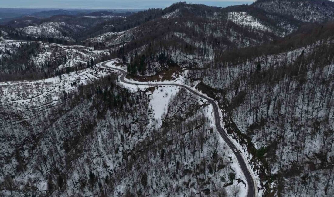 Sakarya’nın Kocaali ve Hendek ilçeleri arasında kalan ve karla kaplanan