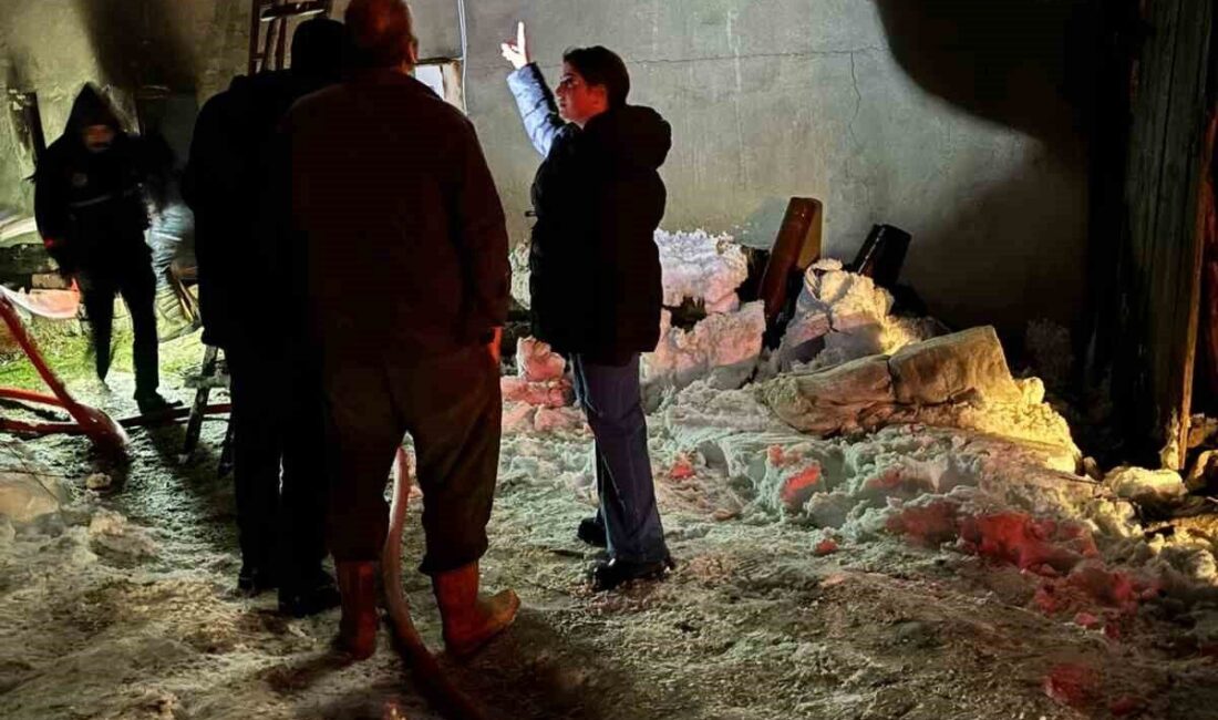 Kastamonu’nun Devrekani ilçesinde elektrik sobasından çıktığı tahmin edilen yangında, bir