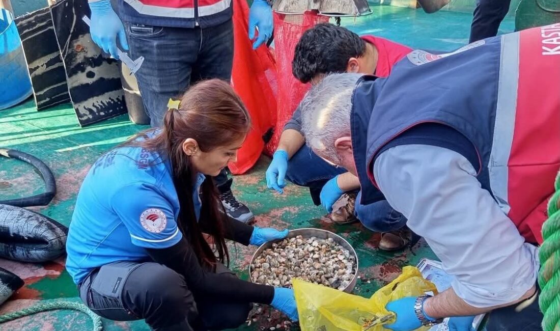 Kastamonu’nun İnebolu ilçesinde Tarım ve Orman Müdürlüğü ekiplerince beyaz kum