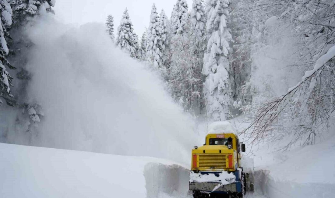 Kastamonu’da etkili olan kar yağışı sebebiyle yolu ulaşıma kapanan köy