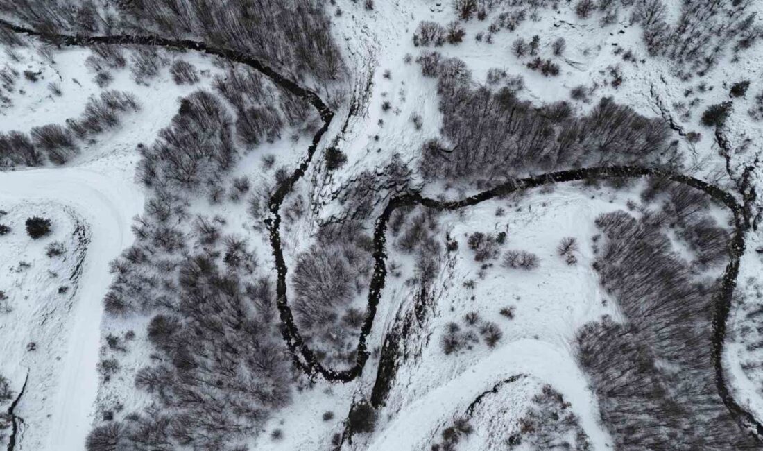 Kastamonu’da karla kaplanan dağlarda hayran bırakan manzaralar Kastamonu’nun İhsangazi ilçesinde etkili olan kar yağışı sonrasında beyaz örtüyle