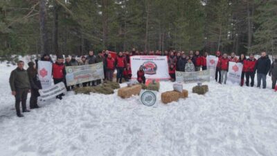 Kastamonu’da karla kaplanan doğada yiyecek yiyecek bulmakta güçlük çeken yaban