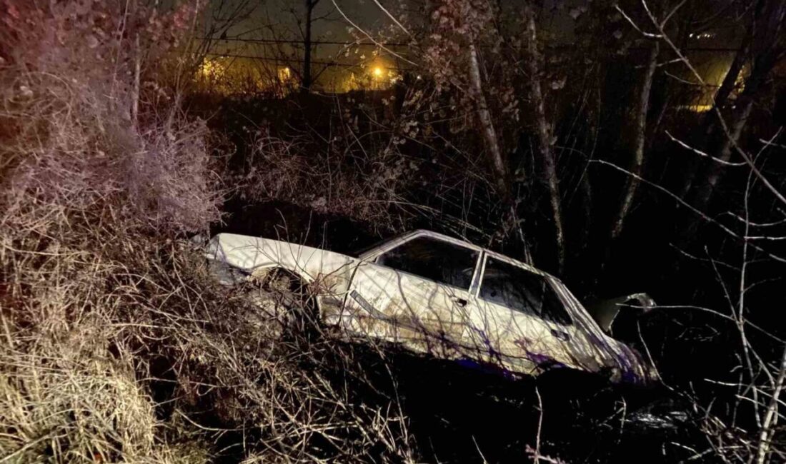 Kastamonu’da otomobilin yoldan çıkarak ağaca çarpması neticesinde meydana gelen kazada