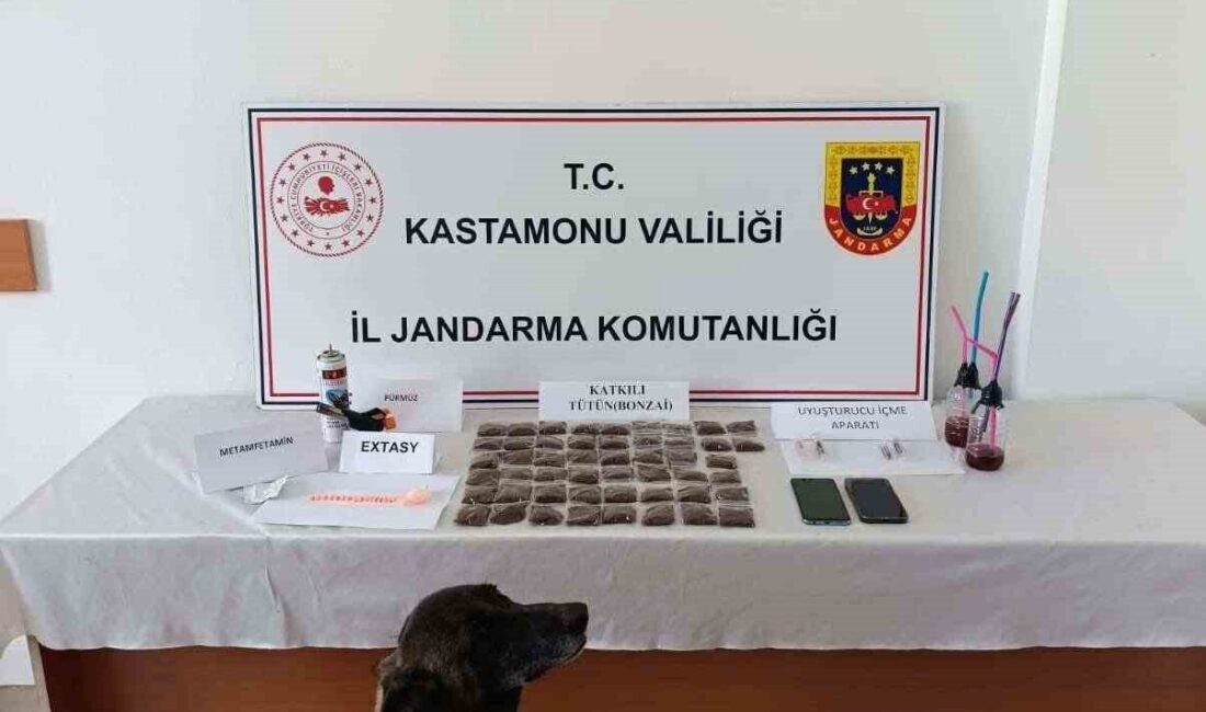 Kastamonu’da jandarma ekipleri tarafından düzenlenen uyuşturucu operasyonunda gözaltına alınan şüpheli