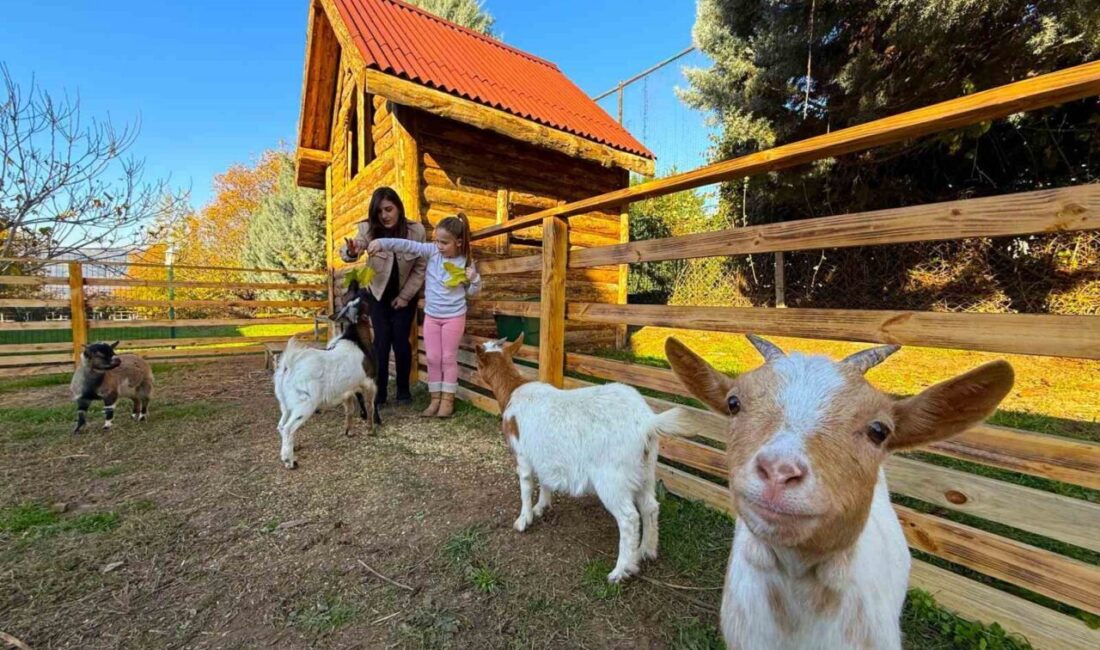 KOCAELİ (İHA) – Kocaeli’de özel bir eğitim ve rehabilitasyon merkezinde