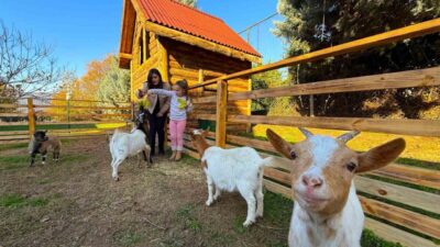 KOCAELİ (İHA) – Kocaeli’de özel bir eğitim ve rehabilitasyon merkezinde