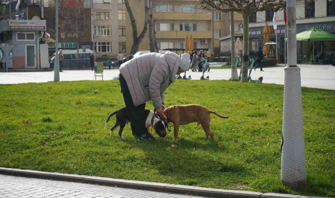 Sakarya’da ocak ayının son günlerinde mevsim normallerinin üzerinde seyreden hava