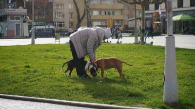 Sakarya’da ocak ayının son günlerinde mevsim normallerinin üzerinde seyreden hava