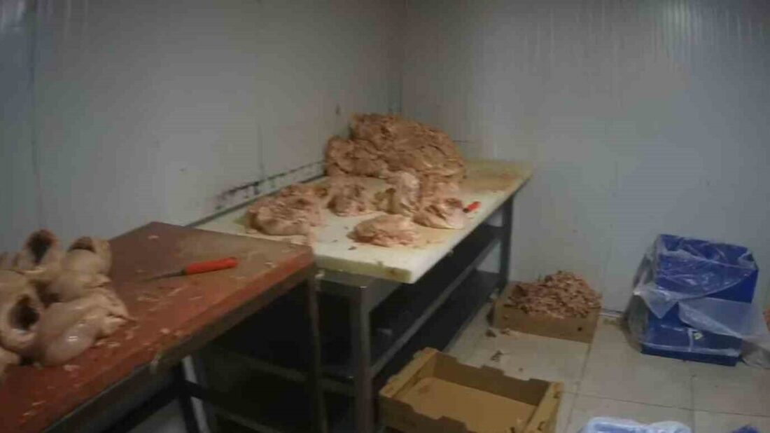 Kocaeli’nin Çayırova ilçesinde ruhsatsız faaliyet gösteren ve hijyen kurallarına uymadığı