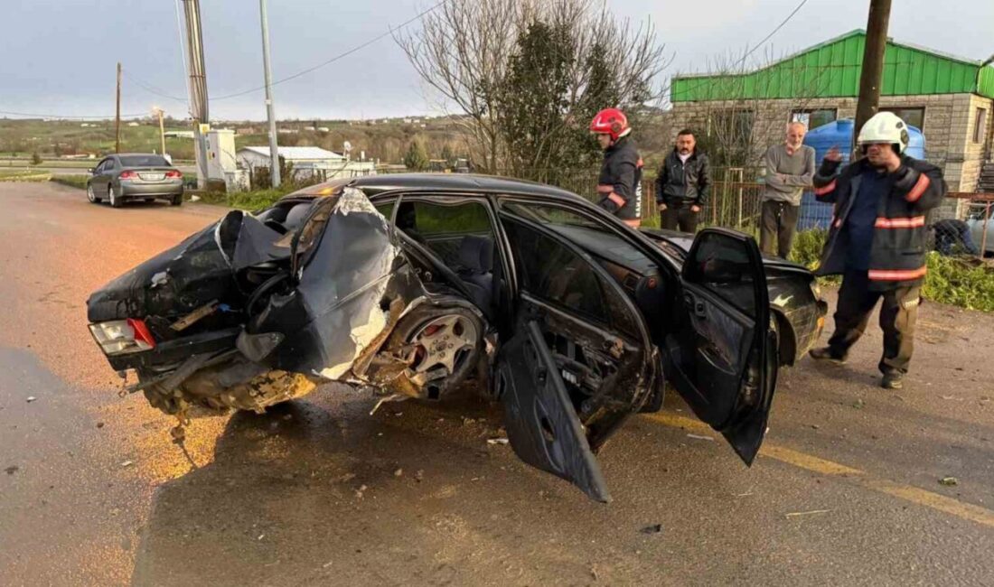 Sakarya’da yola aniden atlayan köpeğe çarpmamak için direksiyonu kıran otomobil