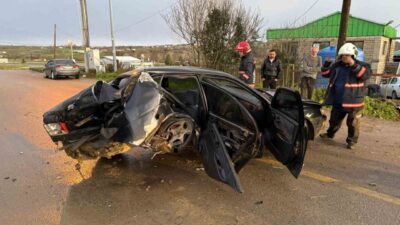 Sakarya’da yola aniden atlayan köpeğe çarpmamak için direksiyonu kıran otomobil