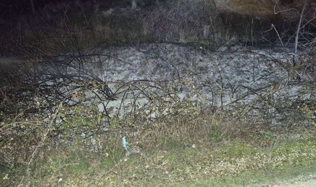 Küçük çaplı ot yangını erken müdahaleyle söndürüldü Bilecik’te çıkan küçük çaplı ot yangını erken müdahaleyle söndürüldü. Bilecik’in