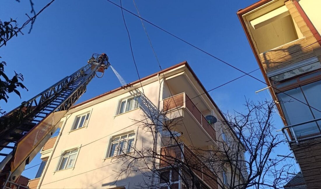 Mangal yakmak isterken çatıyı ateşe verdi Sakarya’nın Karasu ilçesinde iddiaya göre mangal yakıldığı esnada alevlerin etrafa
