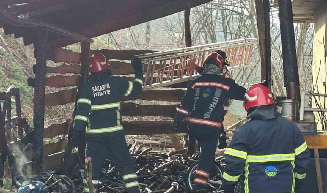 Sakarya’nın Akyazı ilçesinde tek katlı evin bitişiğindeki odunlukta çıkan yangın