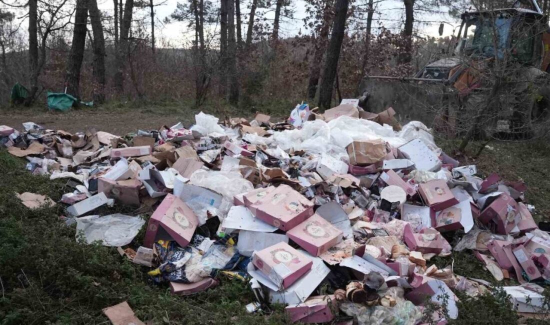 Düzce Belediyesi Temizlik İşleri Müdürlüğü, Bahçeşehir bölgesinde bulunan Kent Ormanının