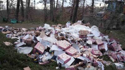 Düzce Belediyesi Temizlik İşleri Müdürlüğü, Bahçeşehir bölgesinde bulunan Kent Ormanının