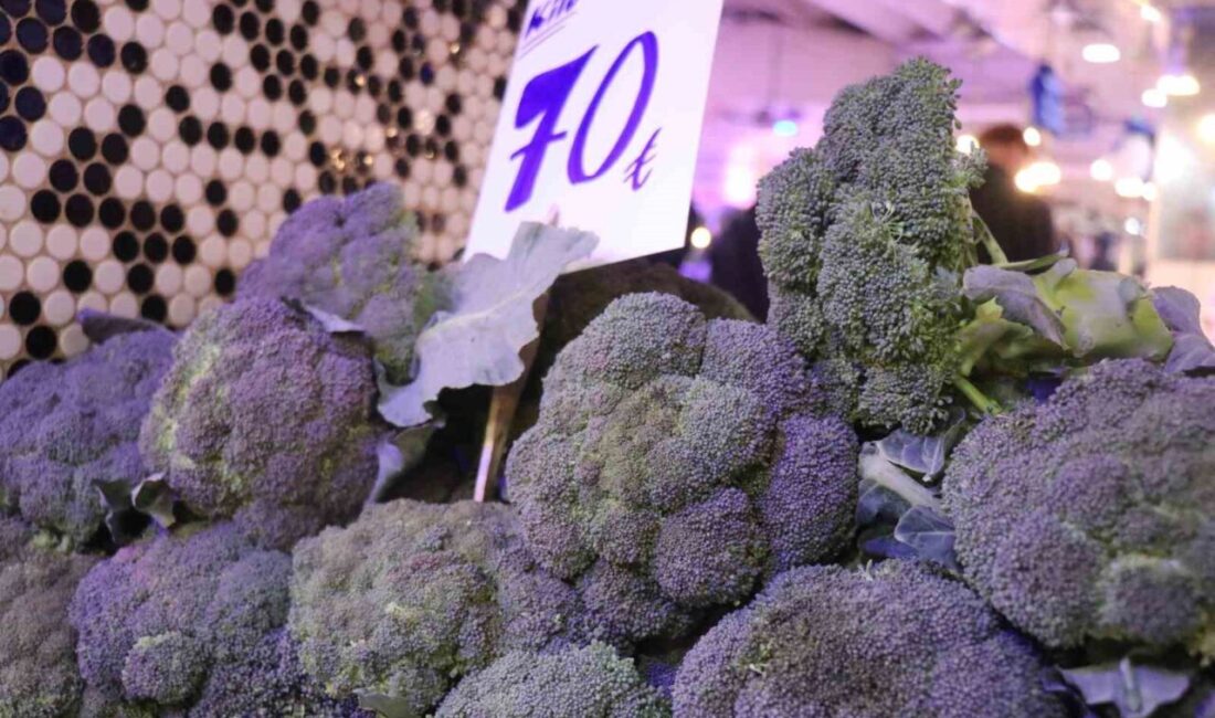 Sakarya’da hava sıcaklıklarının düşmesiyle birlikte kış sebzeleri pazar tezgahlarındaki yerini