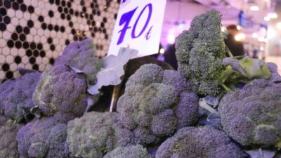 Sakarya’da hava sıcaklıklarının düşmesiyle birlikte kış sebzeleri pazar tezgahlarındaki yerini