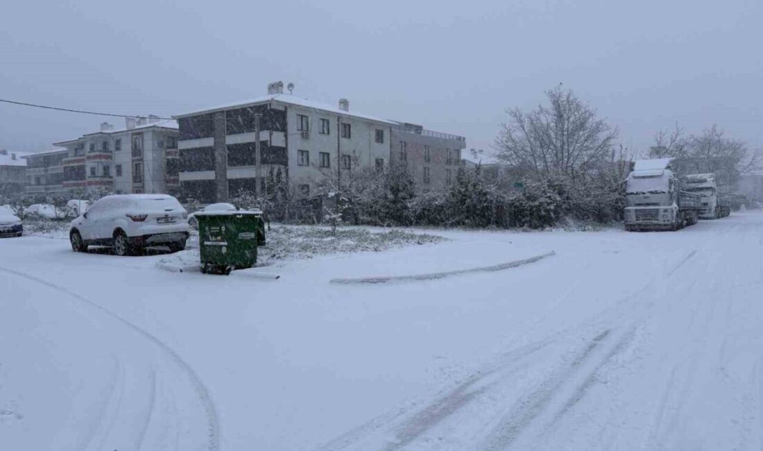 Sakarya’da yeni yıl sabahına lapa lapa yağan karla uyandı. Şehir